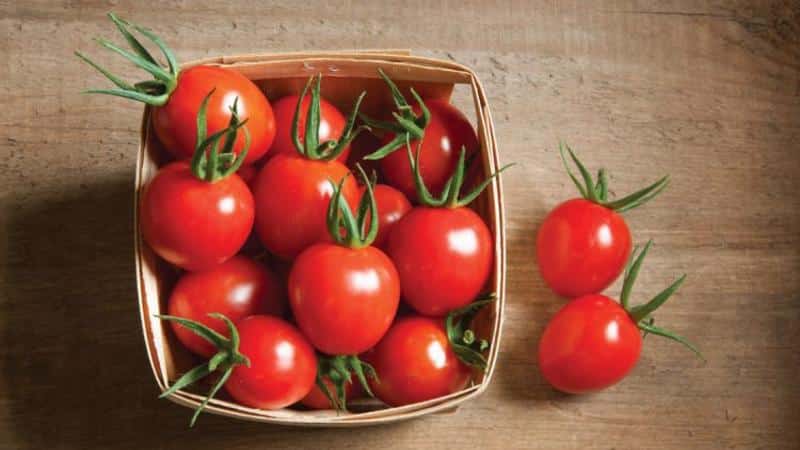 Nous vous expliquerons et vous montrerons comment conserver les tomates fraîches pendant longtemps : des astuces intéressantes de propriétaires expérimentés