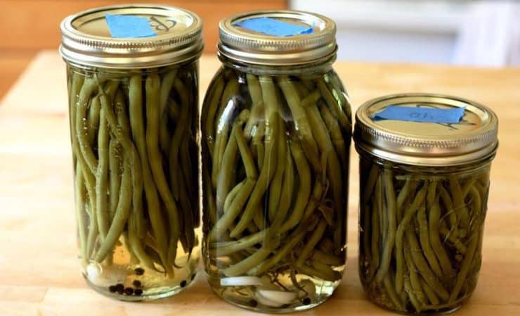 Les meilleures recettes de haricots verts marinés pour l'hiver : nous préparons de délicieuses préparations à partir d'ingrédients simples