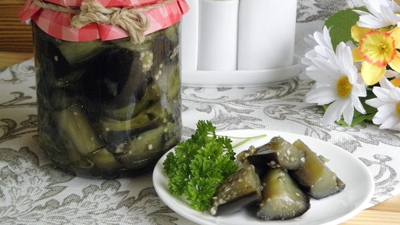 The most delicious recipes for pickling eggplants for the winter in jars from experienced housewives