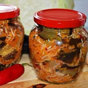 The most delicious recipes for pickling eggplants for the winter in jars from experienced housewives