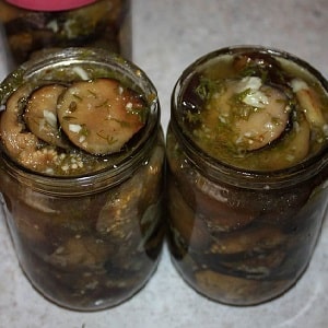 The most delicious recipes for pickling eggplants for the winter in jars from experienced housewives