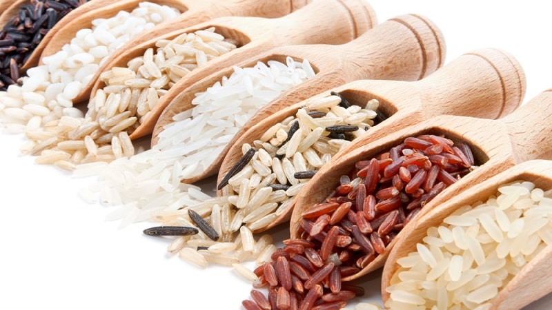 The healthiest rice: which variety is best to eat?