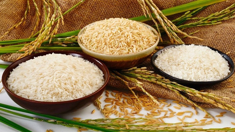 The healthiest rice: which variety is best to eat?