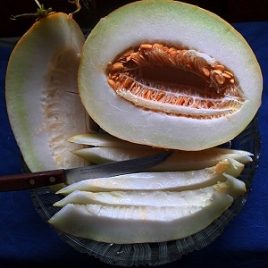 Melon ouzbek sucré et aromatique Gulyabi : comment le choisir et comment le cultiver soi-même