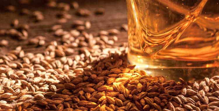 How to make malt from barley at home