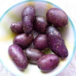 Variété de pomme de terre de table amateur Gypsy à peau violette et chair blanche