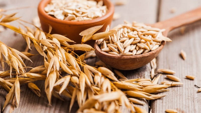 Evitar el colesterol con avena