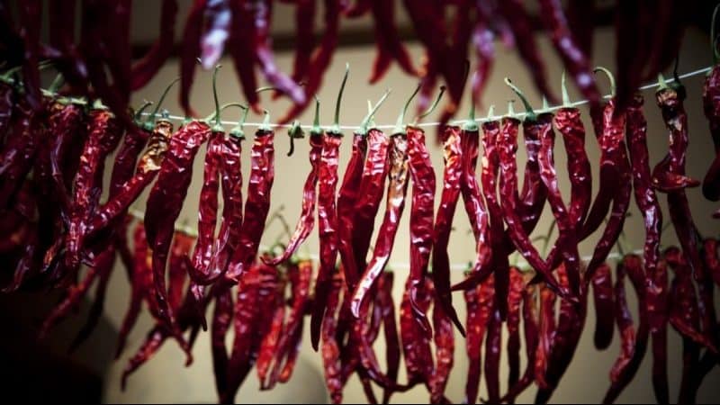 How to dry hot peppers at home: the best preparation methods and recommendations for storing the product