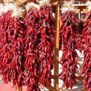 How to dry hot peppers at home: the best preparation methods and recommendations for storing the product