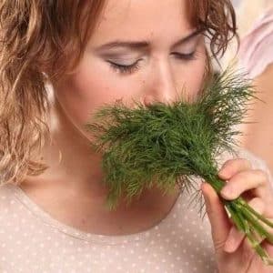 Dill for women: benefits for the body