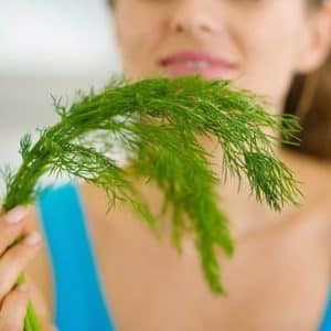 Dill for women: benefits for the body