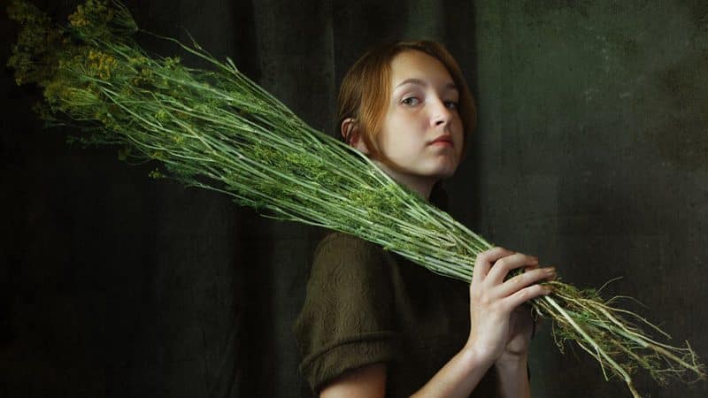 Dille voor vrouwen: voordelen voor het lichaam