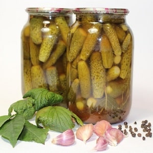 The Vyaznikovskie cucumber variety is incomparable fresh and good for winter preparations