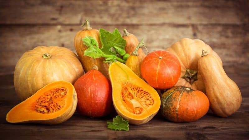 Cosa fare se si è allergici alla zucca: curare efficacemente e prevenire in anticipo