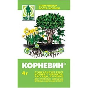 Ние сами отглеждаме вкусна реколта: как пъпешът расте в оранжерия, на открито и у дома