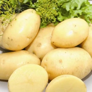 Descrição e características da variedade de batata Laperla