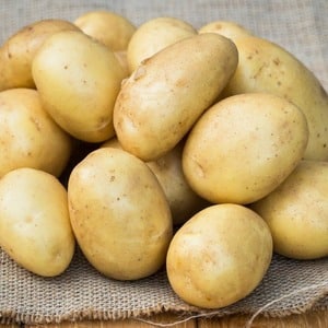 Beschreibung und Eigenschaften der Kartoffelsorte Laperla