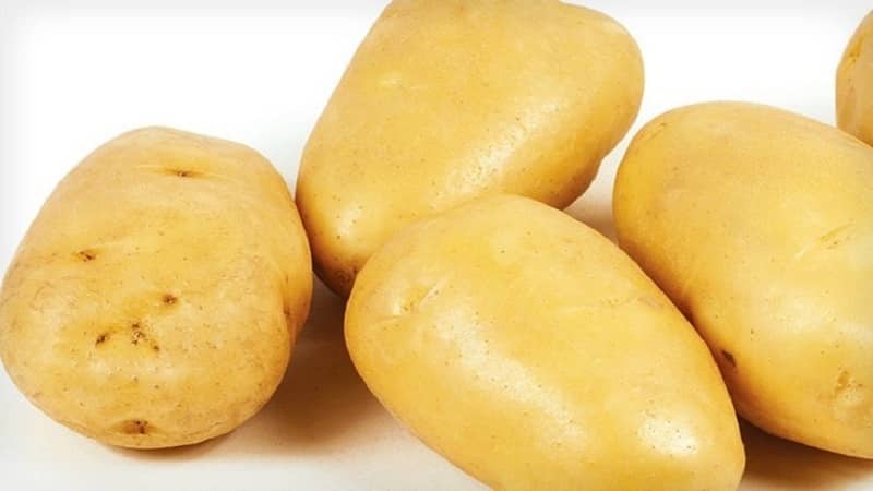 Ciò che c'è di buono nella varietà di patate tedesca Zekura: descrizione, caratteristiche e recensioni