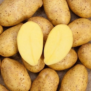 Ano ang mabuti tungkol sa German potato variety Zekura: paglalarawan, mga katangian at mga review