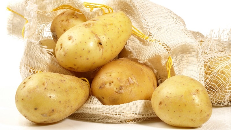 What is good about the German potato variety Zekura: description, characteristics and reviews