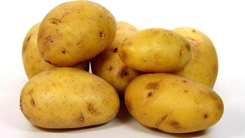 Ano ang mabuti tungkol sa German potato variety Zekura: paglalarawan, mga katangian at mga review