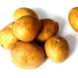 What is good about the German potato variety Zekura: description, characteristics and reviews