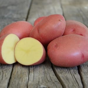 Middenvroege aardappelsoort Krasavichik met een geweldige smaak