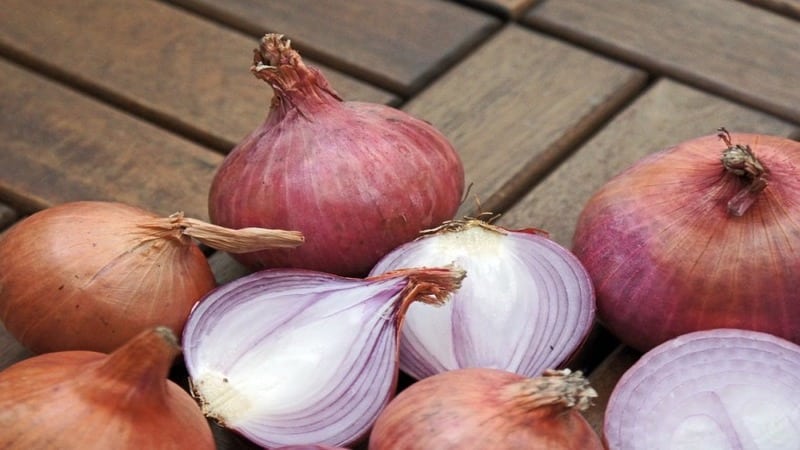 Mga maskara sa buhok ng sibuyas para sa paggamot ng pagkakalbo