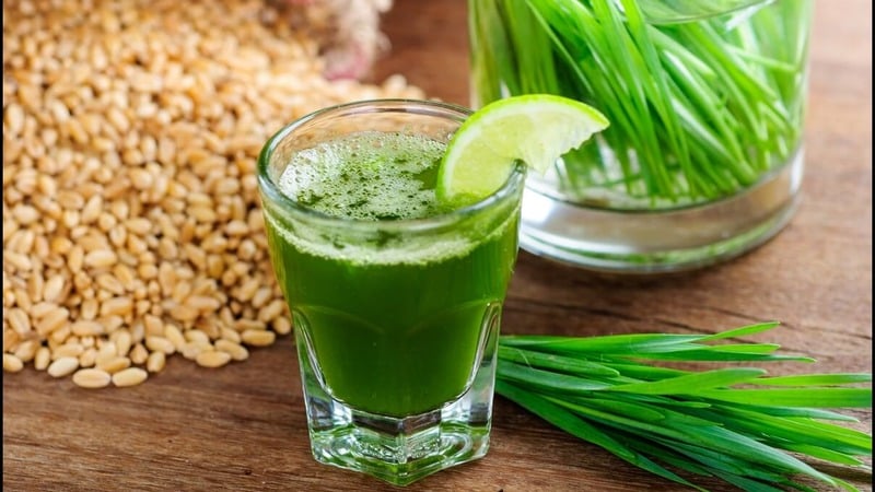 Faedah maksimum dalam satu gelas: sediakan dan minum jus wheatgrass dengan betul