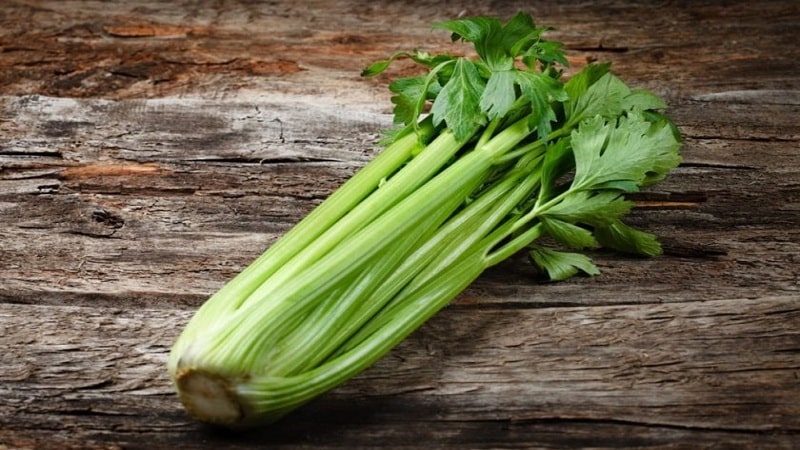 Ano ang pagkakaiba ng lovage at celery o pareho ba sila?