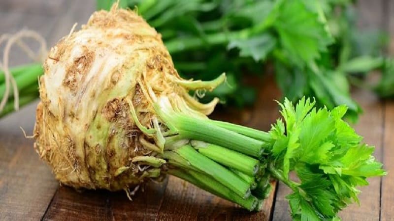 What is the difference between lovage and celery or are they the same thing?