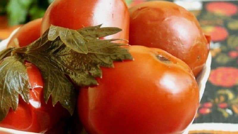 Leckere Rezepte für Tomaten und Sellerie für den Winter