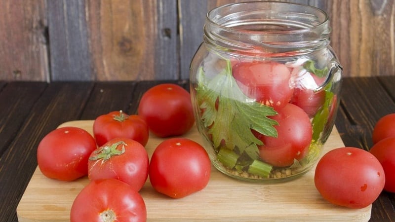 Recetas deliciosas de tomates y apio para el invierno.