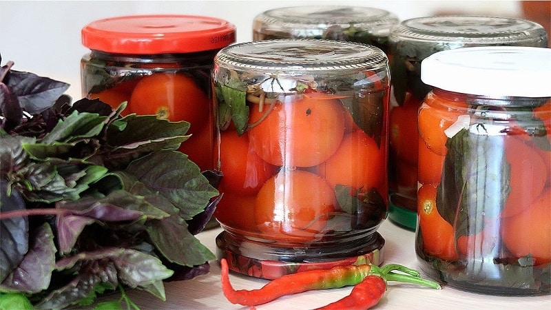 Verbazingwekkend smakende recepten voor tomaten en selderij voor de winter