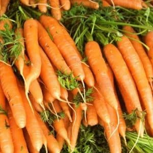 Maagang maturing carrot hybrid na may mahusay na ani: Amsterdam