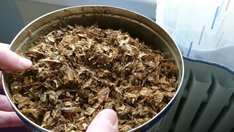 Como e com que dar sabor adequado ao tabaco em casa