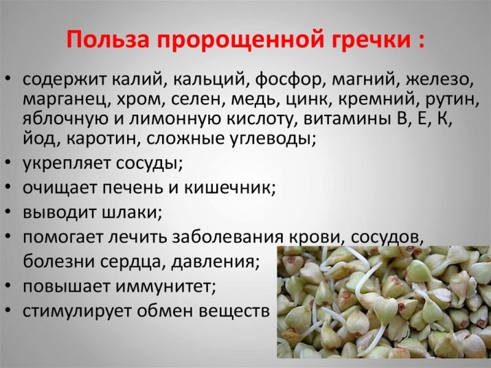 Каква е разликата между зелената елда и обикновената елда, коя е по-здравословна?