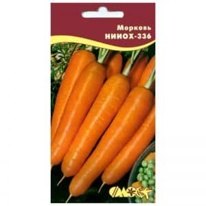 Mid-season carrot variety Niiokh 336