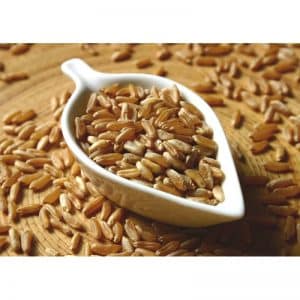 Useful properties and features of growing naked oats