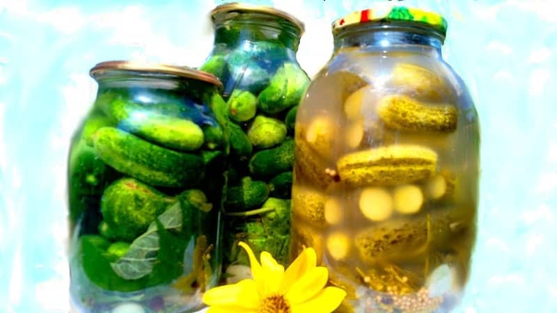 Crispy cucumbers in jars for the winter: hot salt