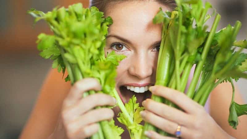 How and with what to eat celery: recipes