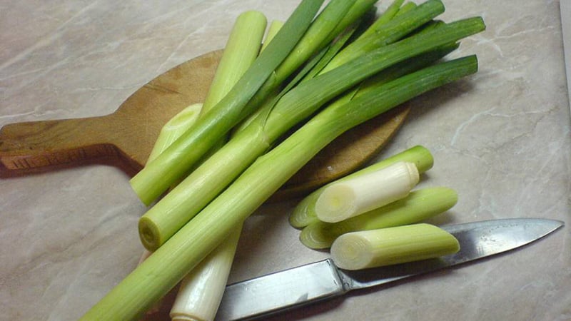 Paano maayos na magluto at kumain ng leek na sopas para sa pagbaba ng timbang