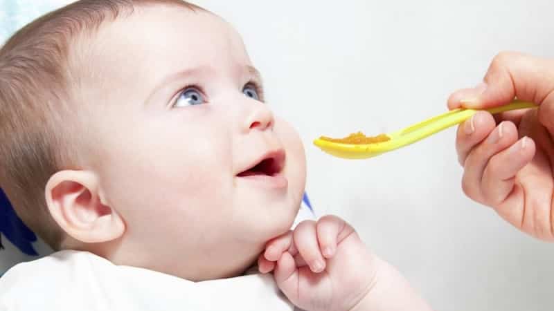 Come preparare il porridge di grano saraceno per la prima poppata