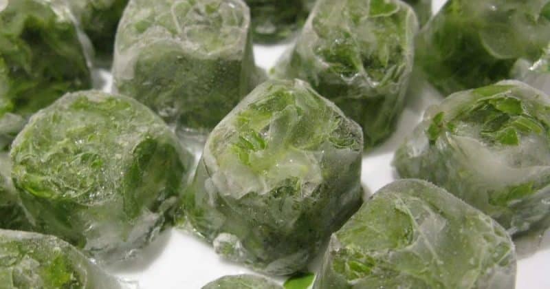 Paano gumawa ng parsley ice para sa mukha: kagandahan at kalusugan ng balat mula sa mga simpleng sangkap