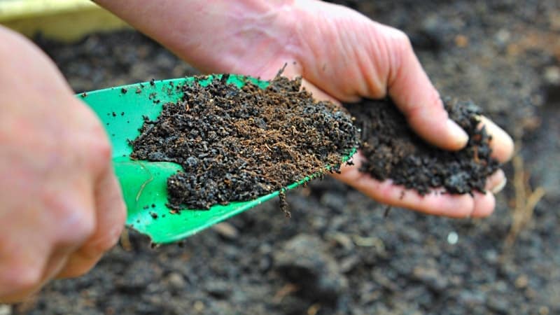 Welke meststoffen moeten in de herfst worden toegepast na het oogsten van aardappelen?