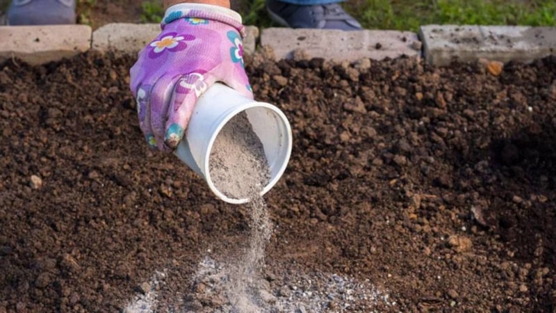 Vilka typer av gödningsmedel är bäst att använda när man planterar potatis?