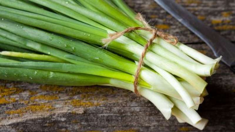 Contenuto calorico, benefici e danni delle cipolle verdi