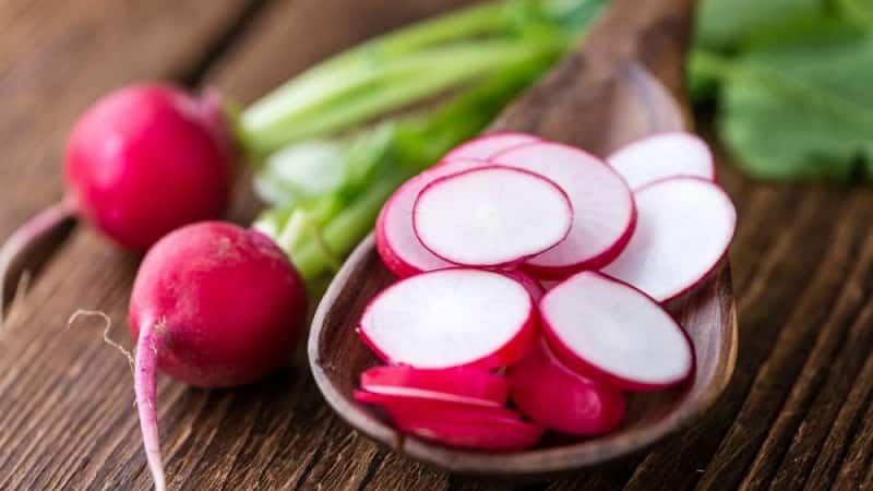 Calorie content of radish and beneficial properties for the human body