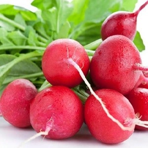 Calorie content of radish and beneficial properties for the human body