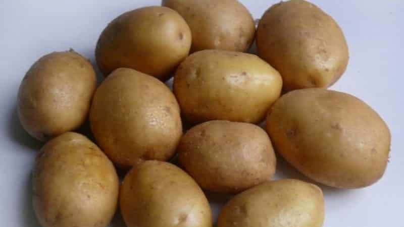 Ang perpektong iba't ibang patatas na mabibili para sa taglamig: halaya